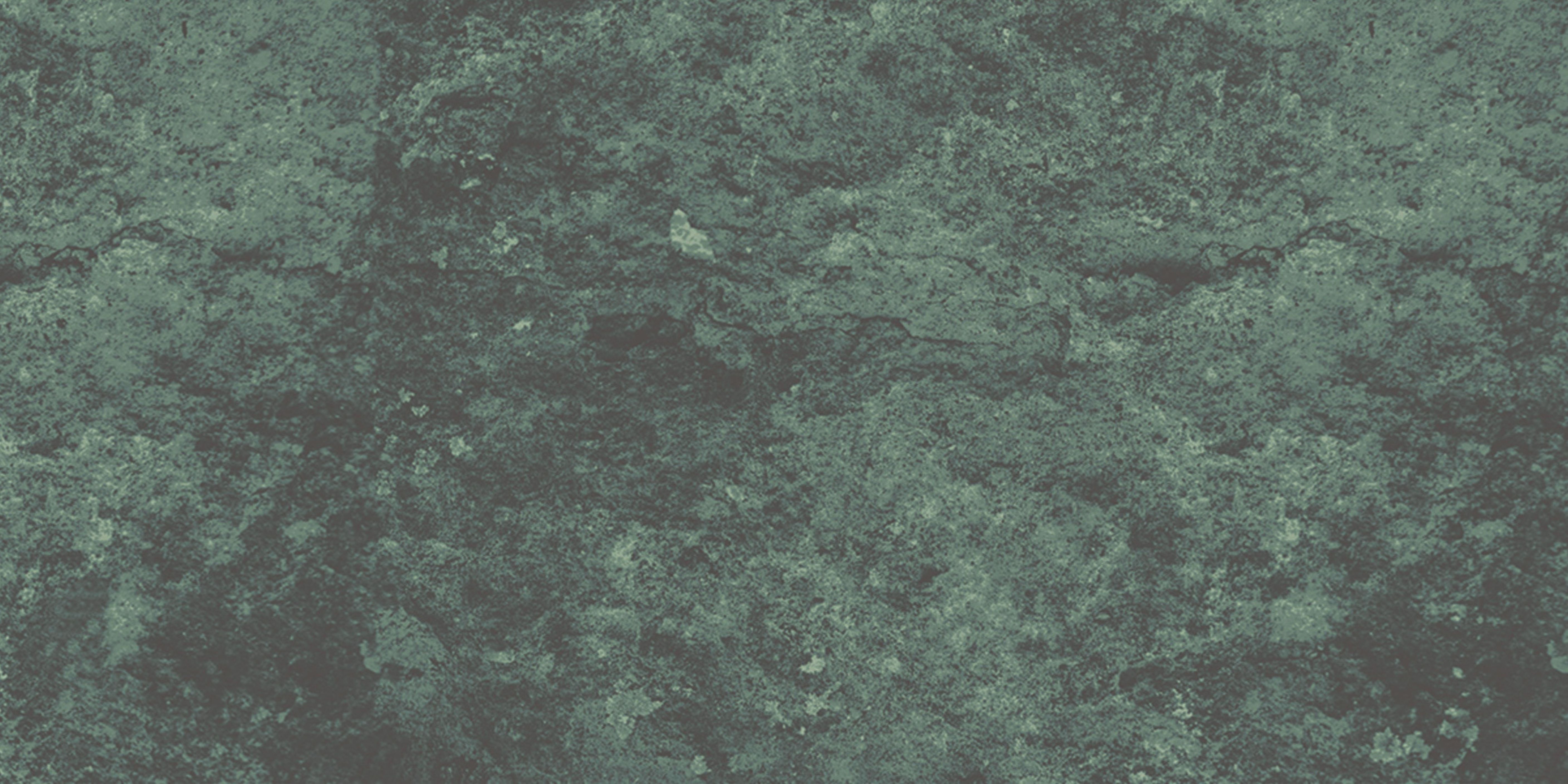 30x60 Olympos Green face