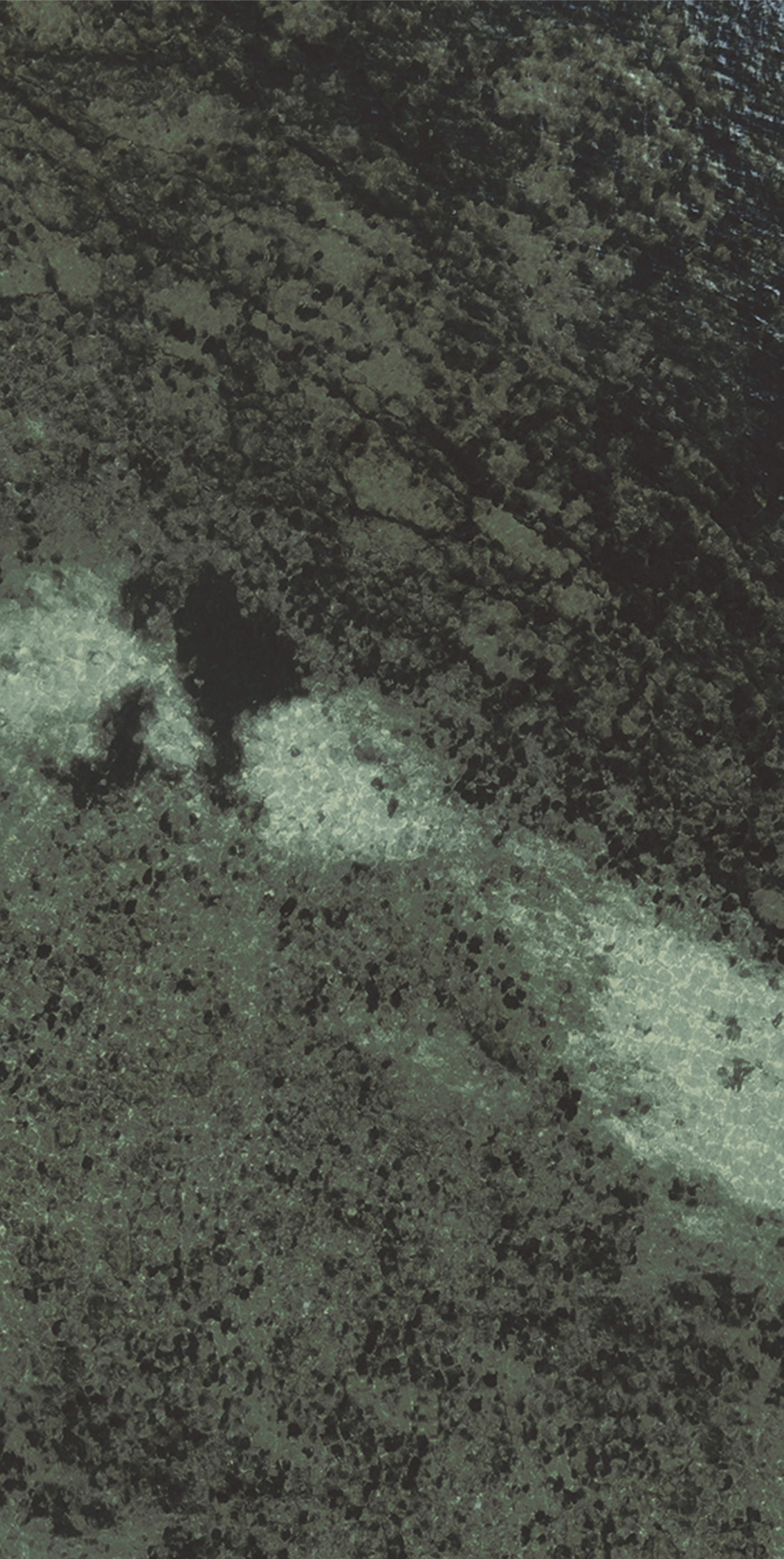 30x60 Olympos Green face