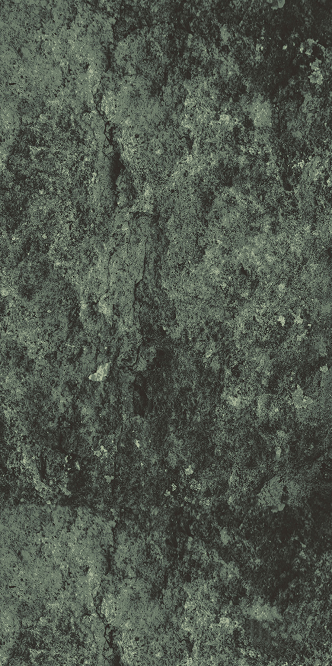 30x60 Olympos Green face