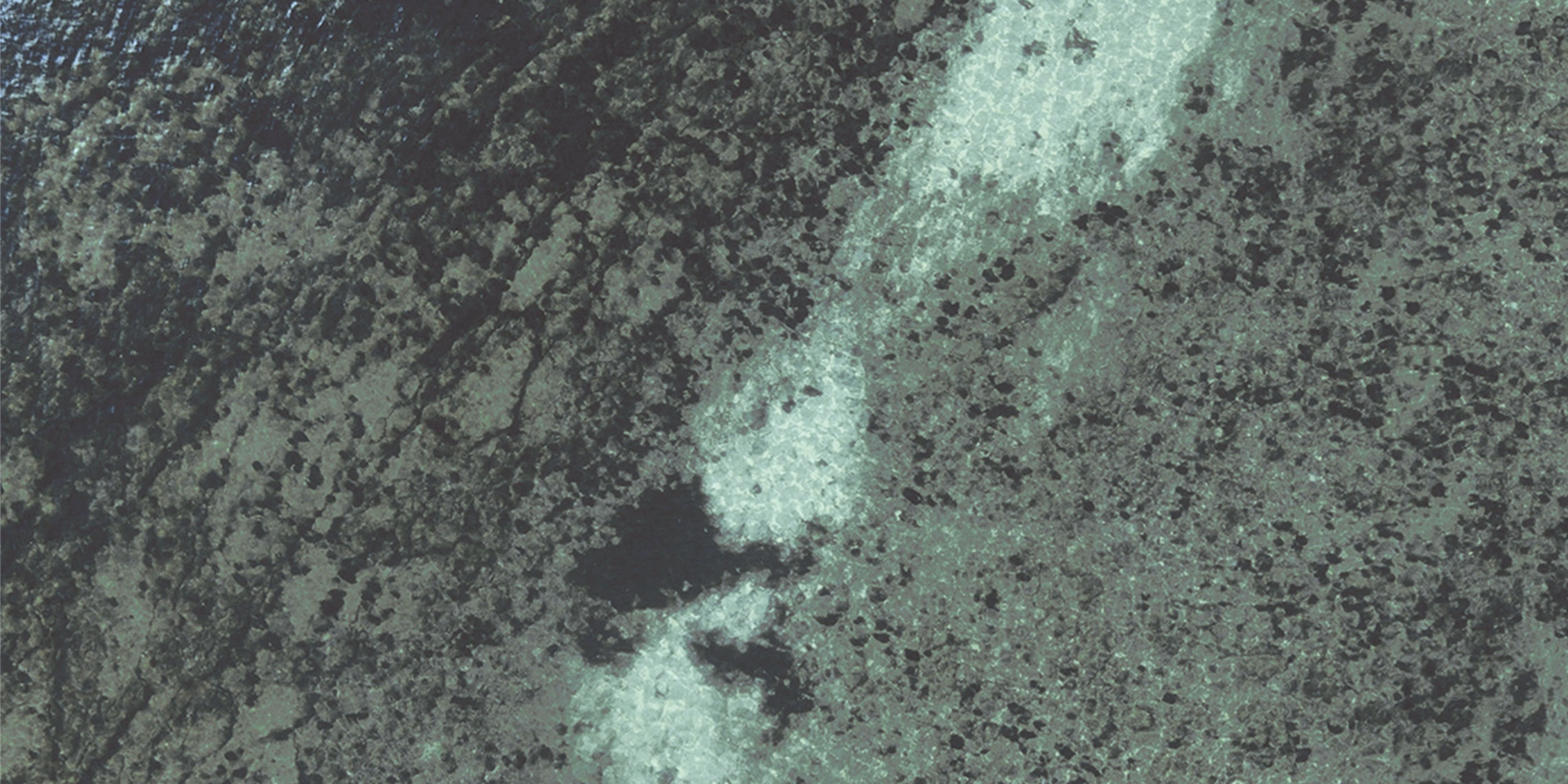 30x60 Olympos Green face